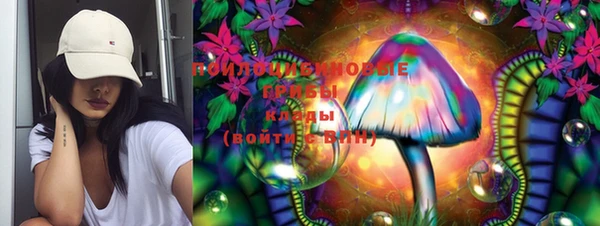 гидропоника Куйбышев