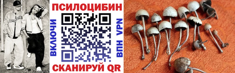 Галлюциногенные грибы Magic Shrooms  Старая Купавна 