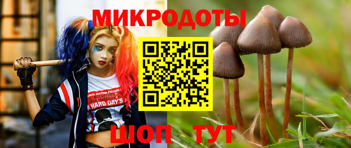 Галлюциногенные грибы Cubensis Старая Купавна